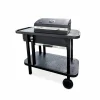 ultratendance Alice’s Garden Barbecue Charbon Allumage Rapide Et Accessoires 17