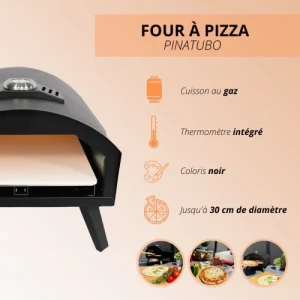 Les achats en ligne RED DECO Four à Pizza à Gaz Extérieur Avec Pelle Acier Noir L51xl41cm 12