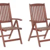 Beliani Lot De 2 Chaises De Jardin Bois Foncé prix pas cher 20